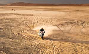 QJMotor SVT 650 X Modell 2026 d