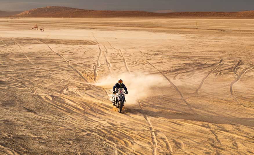 QJMotor SVT 650 X Modell 2026 4