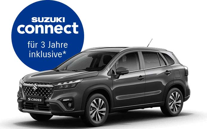 S-Cross grau