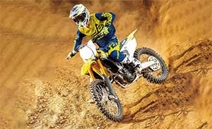 RM-Z250 c