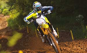 RM-Z450 b