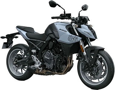 GSX-S8 grau