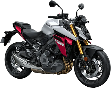 GSX-S1000 silber