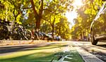 Hanauer Green Mobility Day im September 2025