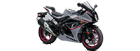 Suzuki Supersport Modelle